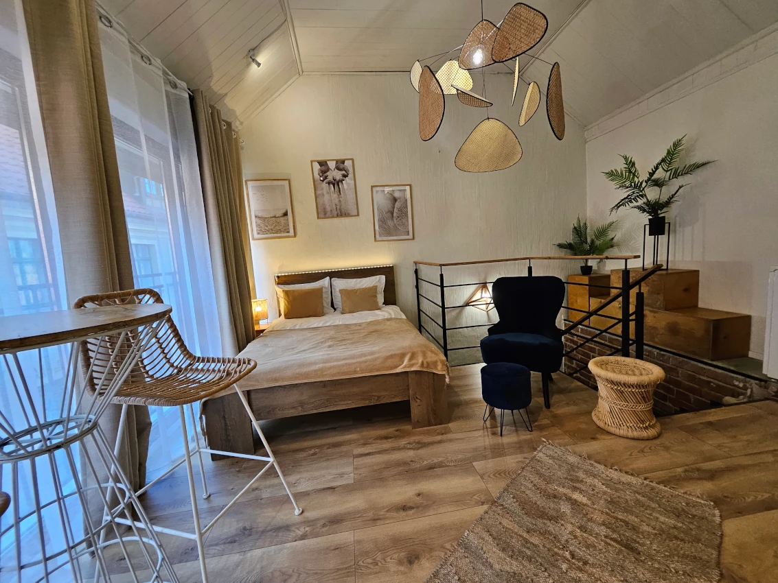 Apartament Classic - Toruń